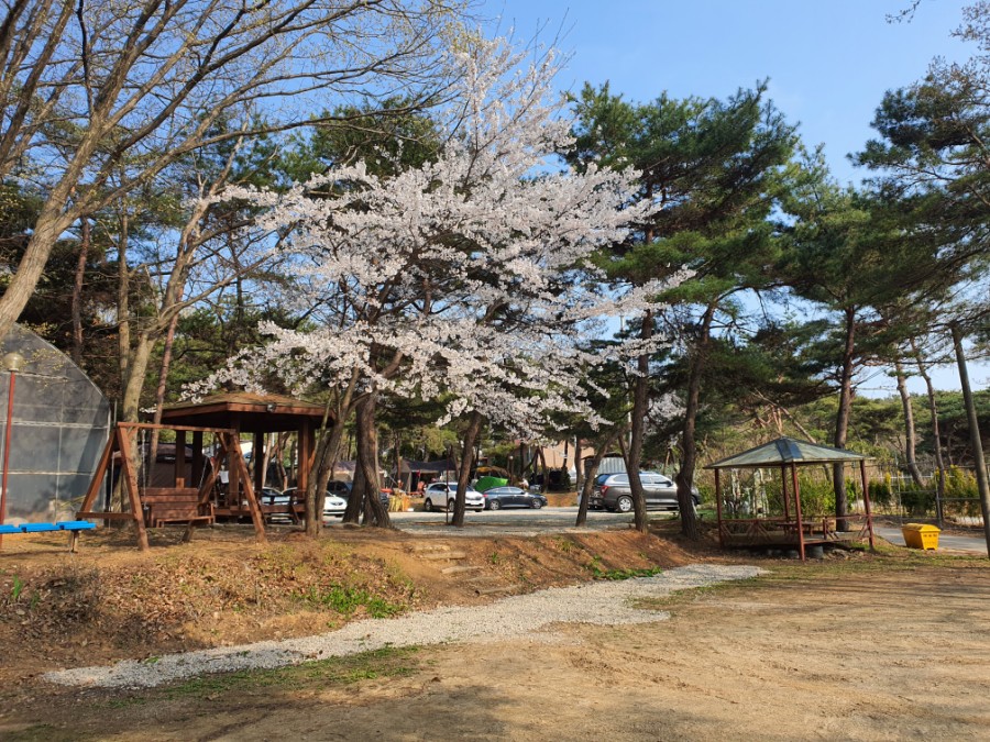 명성리조텔 이미지
