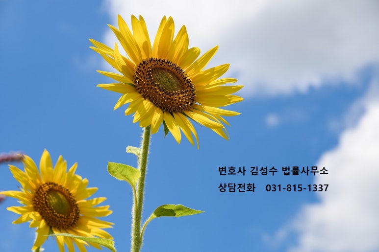 변호사김성수법률사무소 이미지