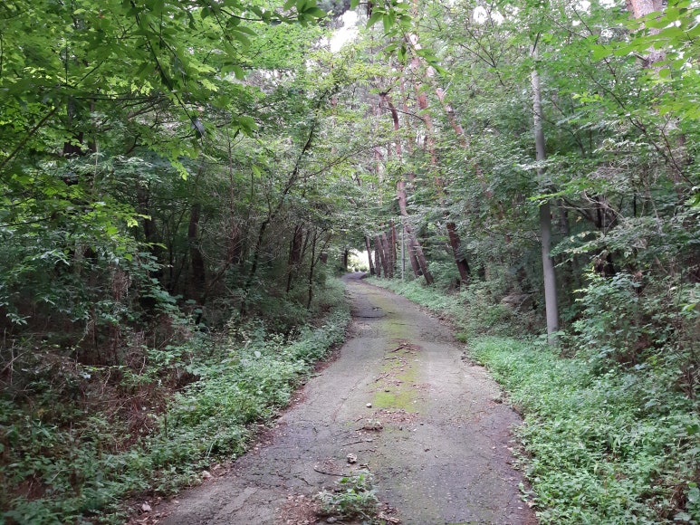 산천흑염소 이미지