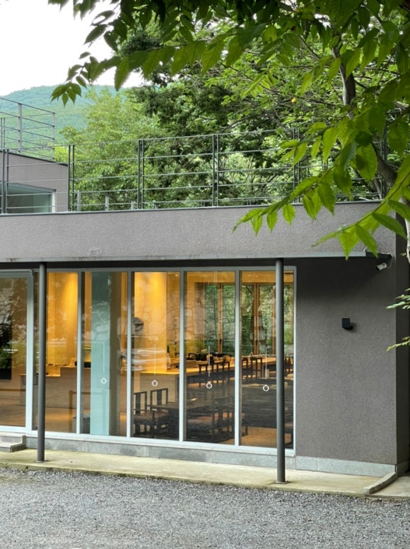 드바로티 이미지