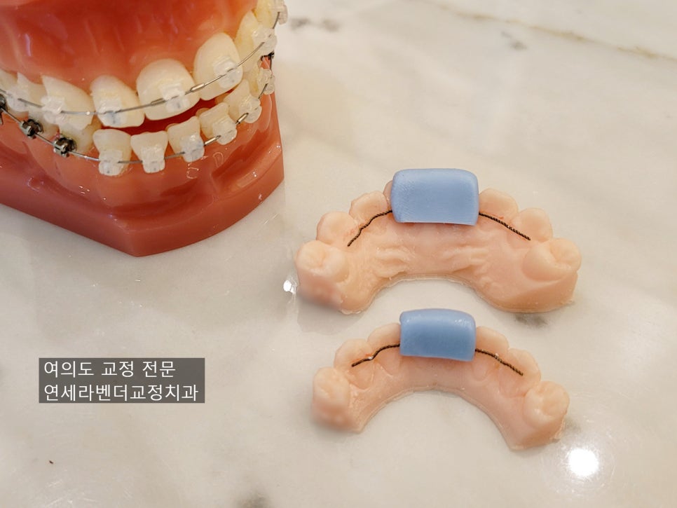 연세라벤더치과교정과치과의원 이미지