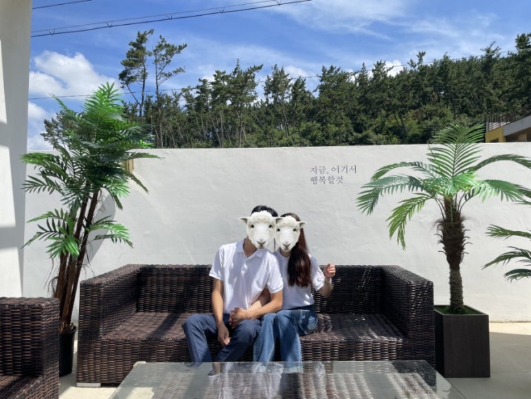 와이앤제이하우스 이미지