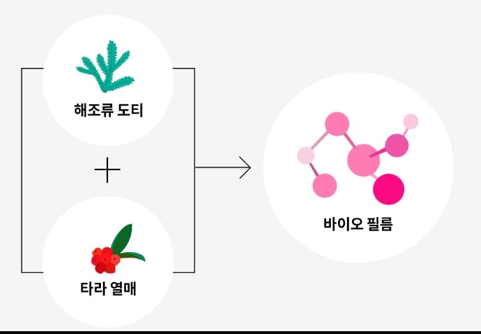 나타라바이오 이미지