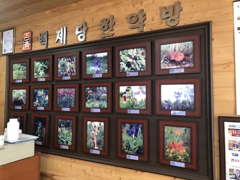 백제당한약방 이미지