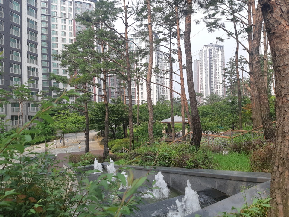도담H&F 이미지