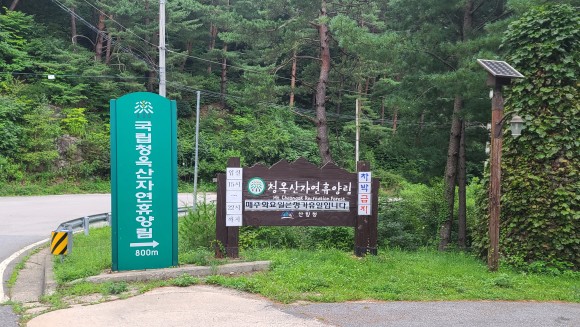 국립청옥산자연휴양림 이미지