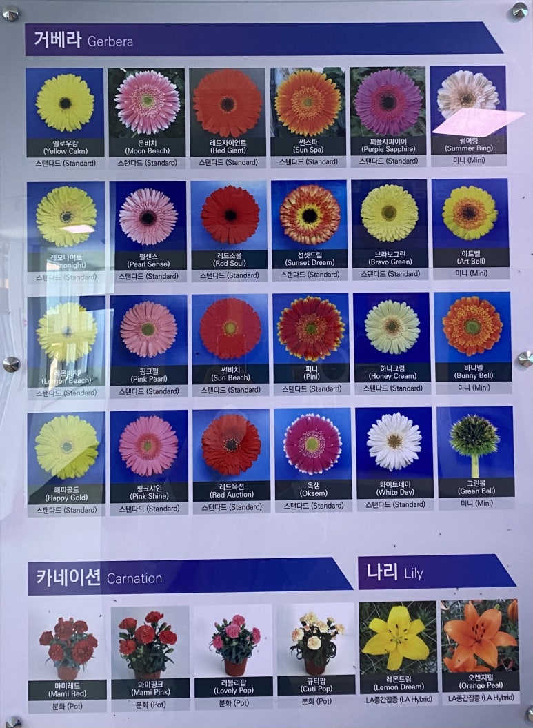 비지연구소 이미지