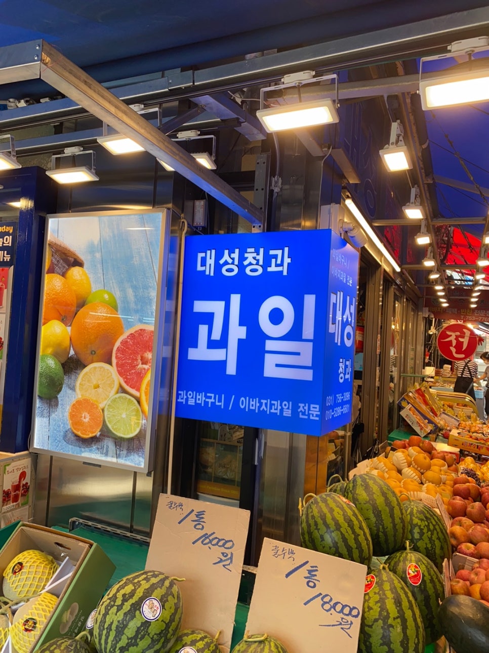 파랑청과 이미지