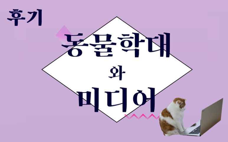 카라 미디어 이미지