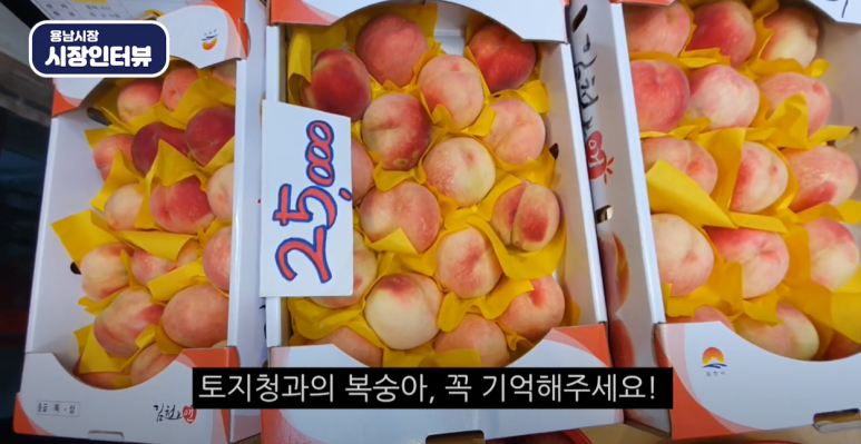 토지시장마트 이미지