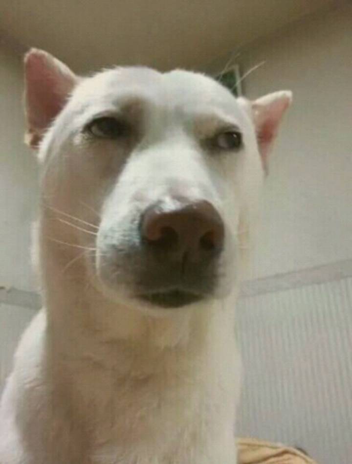 큐티 이미지
