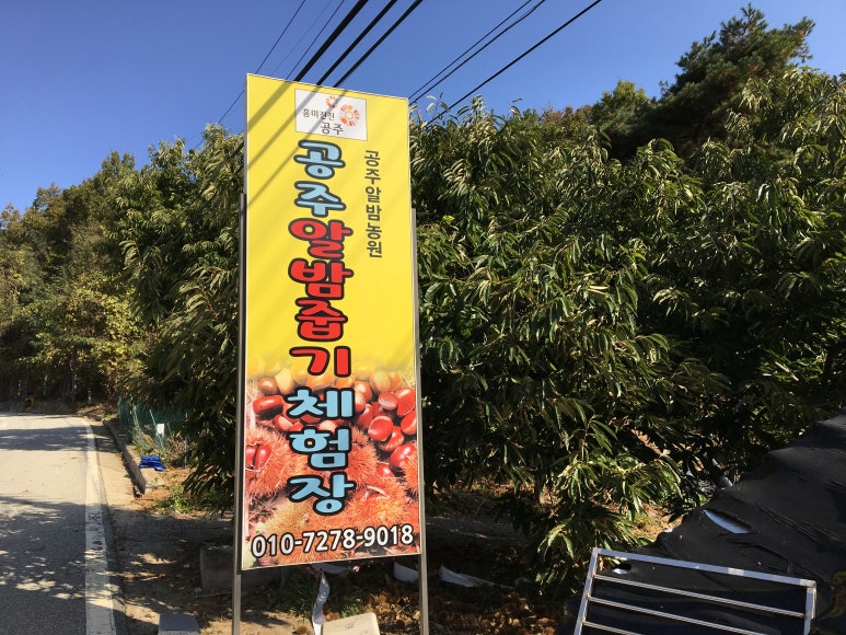공주알밤농원 이미지