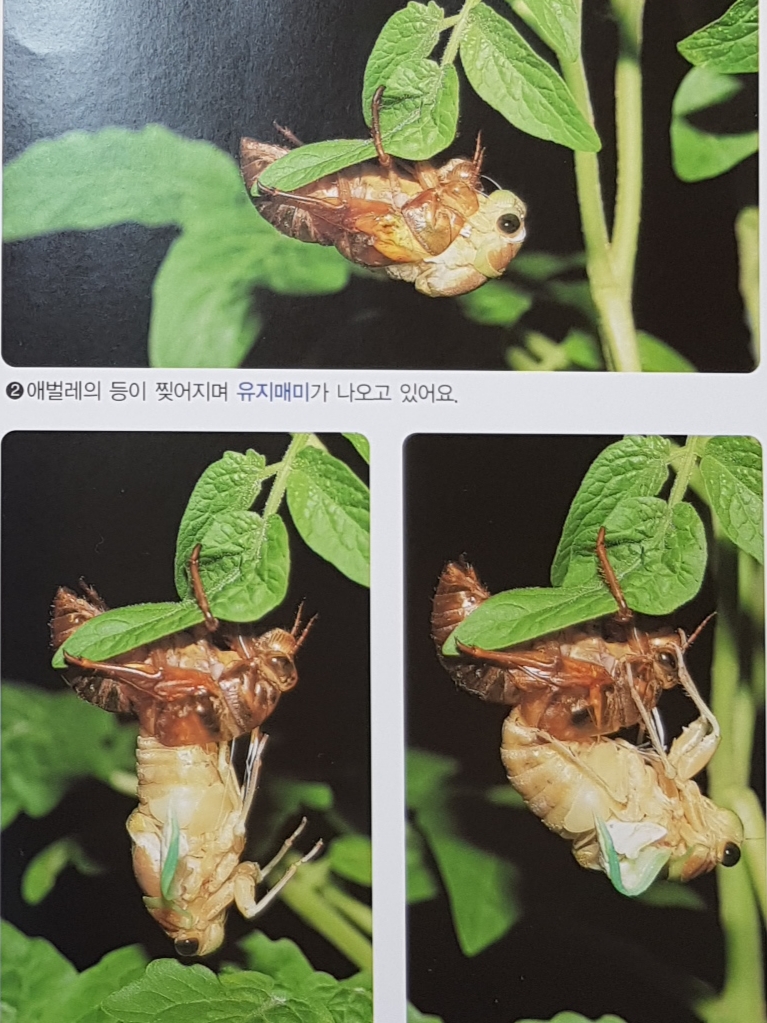 ON 숲 이미지
