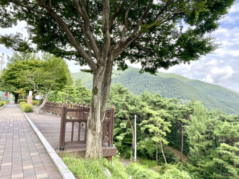 아로니아모텔 이미지