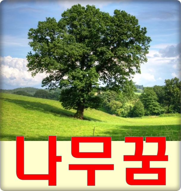 행운나무복권 이미지