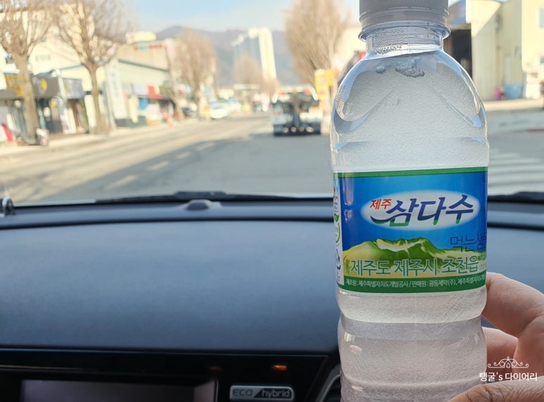 슈가스파글램핑 이미지