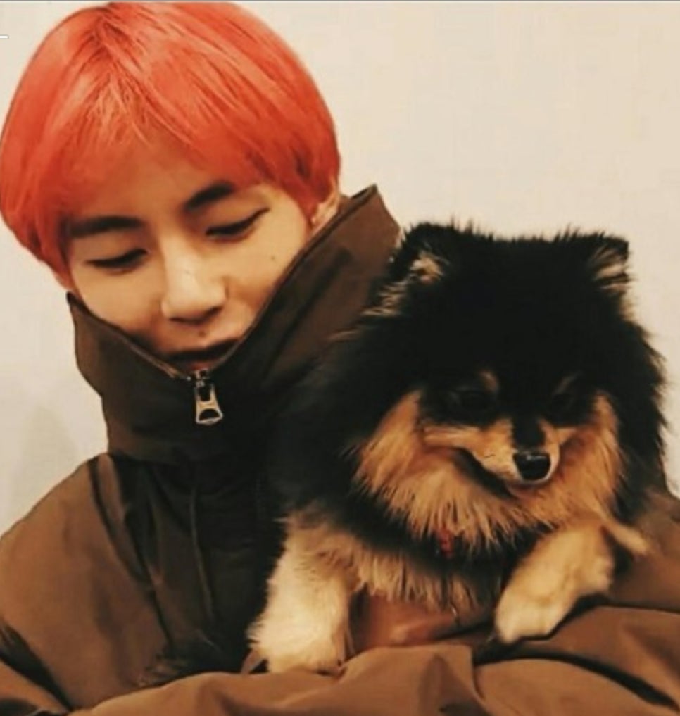 유*기 이미지