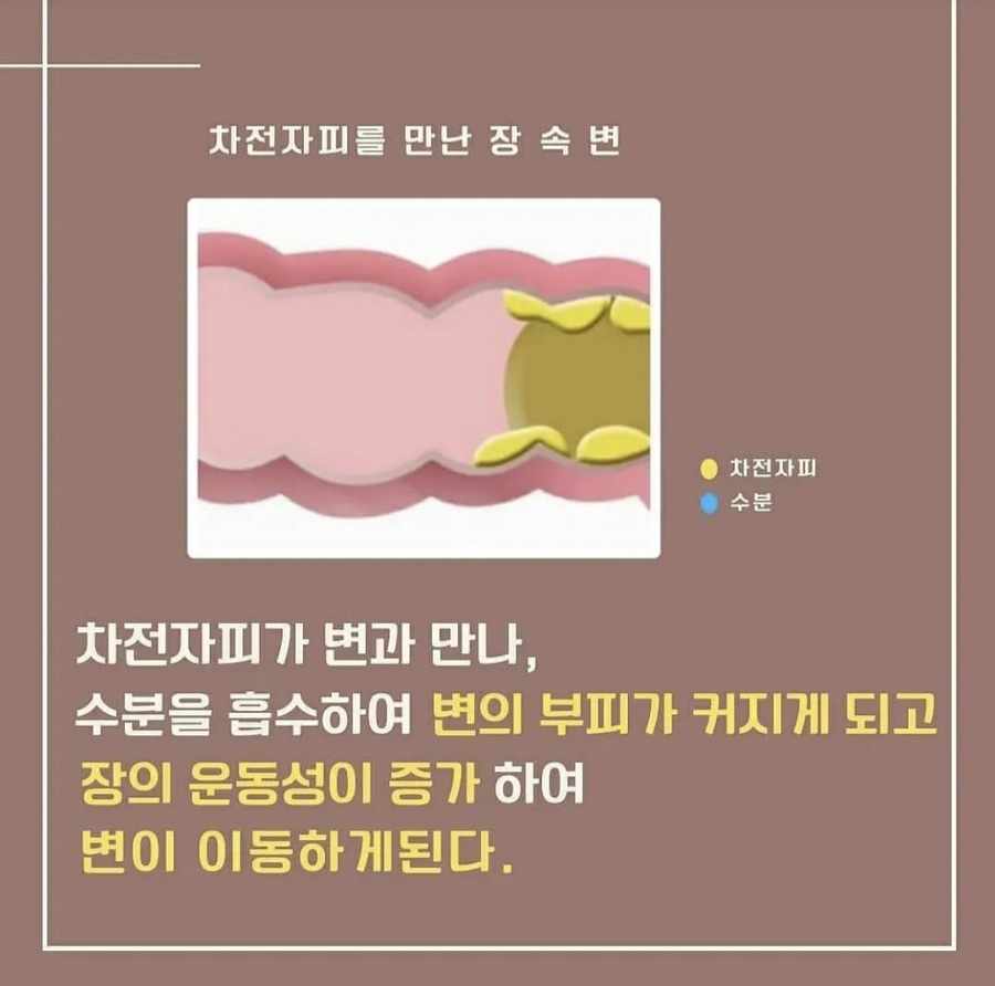 코리아헬스(주) 이미지