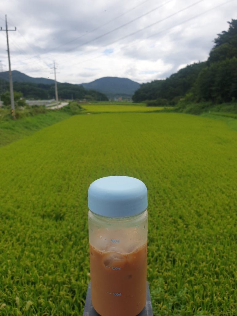 정직한흑염소 이미지