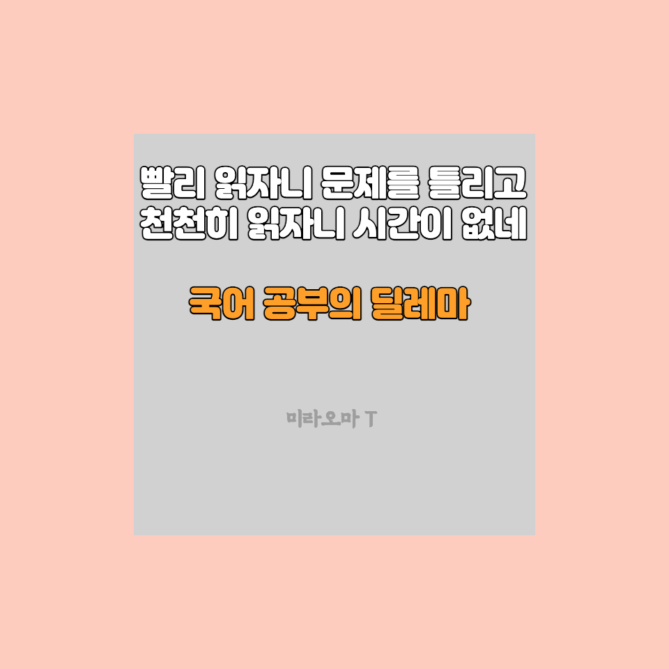 씨스컴 이미지
