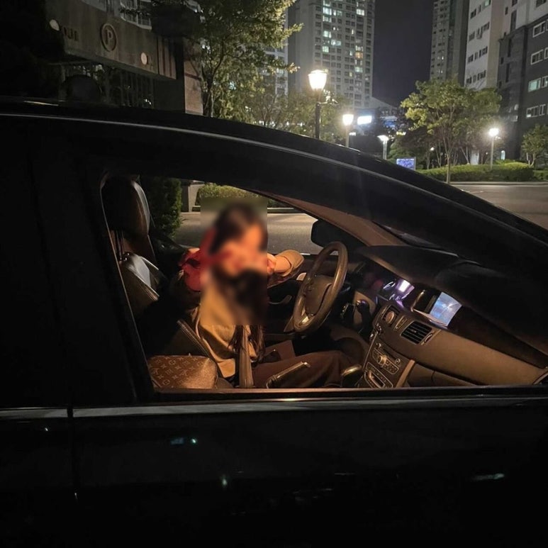 다영황 이미지