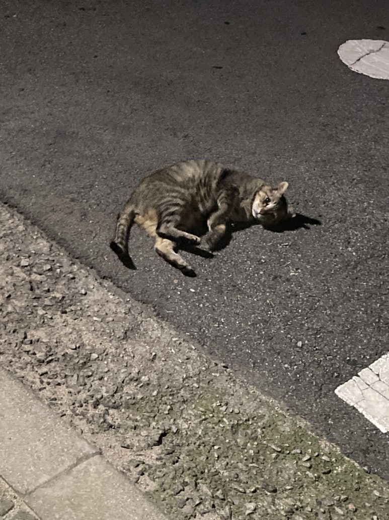 수브르 이미지