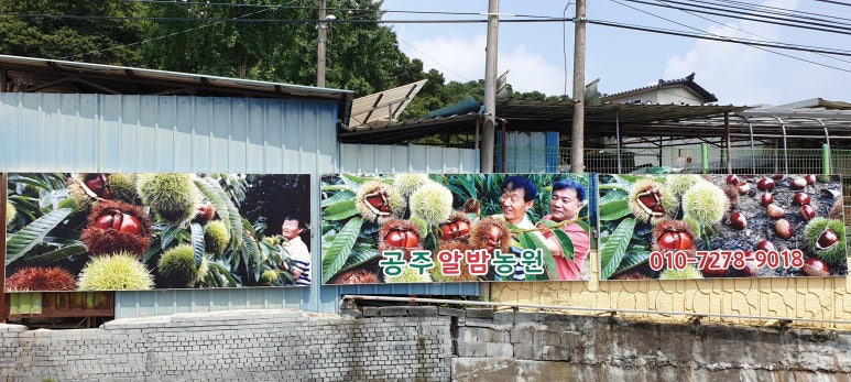 공주알밤농원 이미지