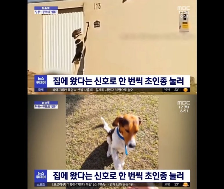 지미돈 이미지