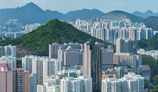 한국부동산투자정보신문 이미지