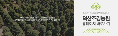 영화조경 이미지