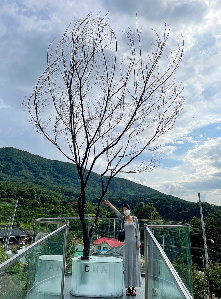 다모아스튜디오 이미지