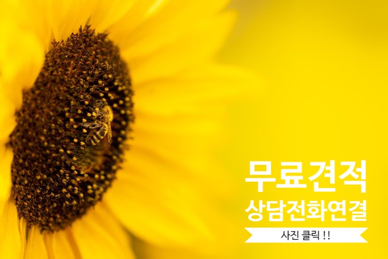 웰메이드포항 이미지