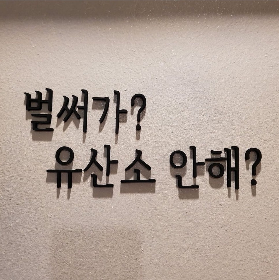 코코짐 이미지