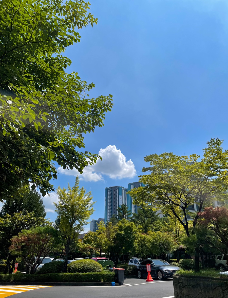 위트러스트커피일산 이미지