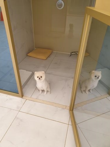 (주)반함 이미지