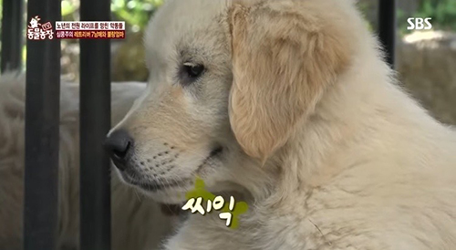 복덩이순대국 이미지