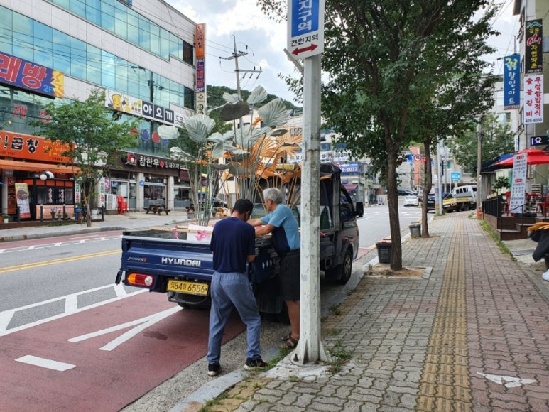 씨제이플라워 이미지