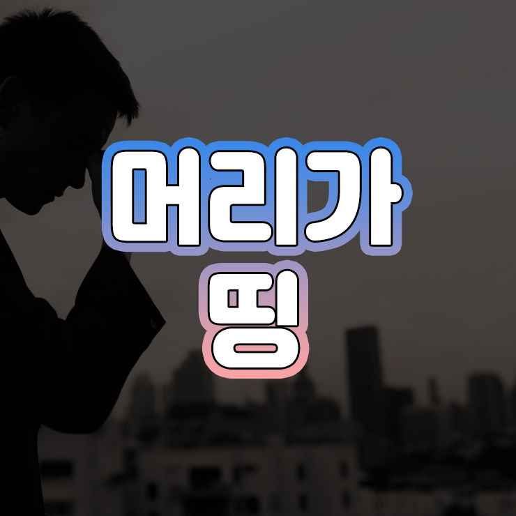 머리띵 이미지