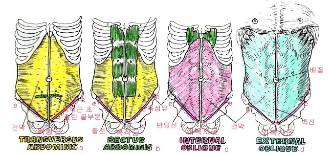 휘트니스인앤아웃 이미지