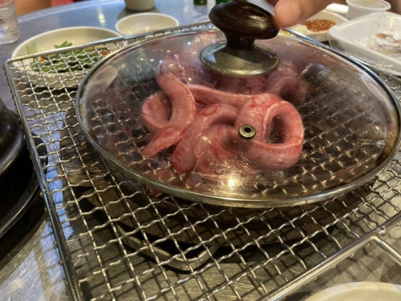 울산산꼼장어 이미지