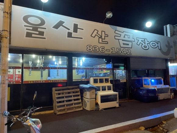 울산산꼼장어 이미지