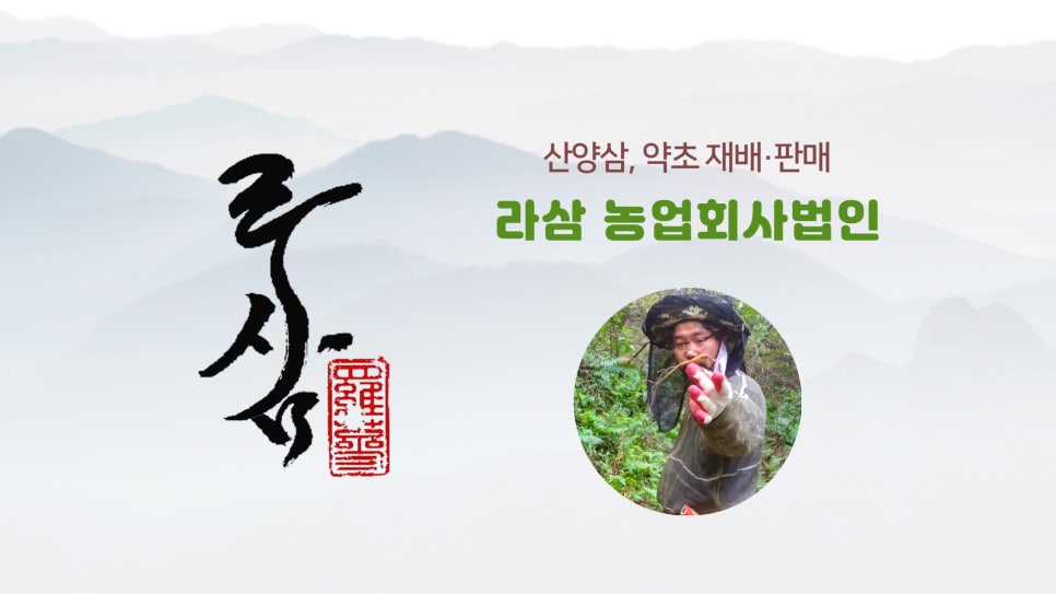 법인백두대간약초 이미지