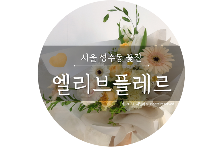 엘리브플레르 이미지