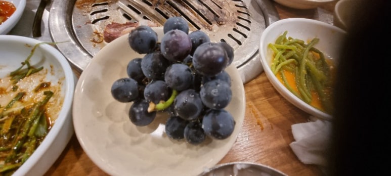 제주통도야지 이미지