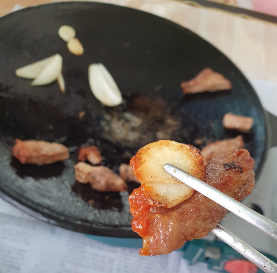 딜리고기 이미지