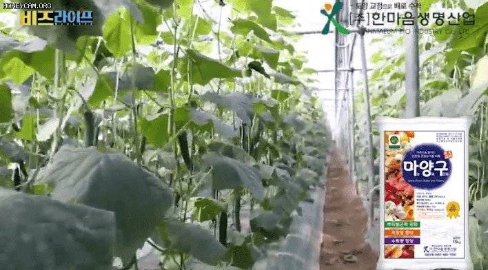 보성유기질비료 이미지