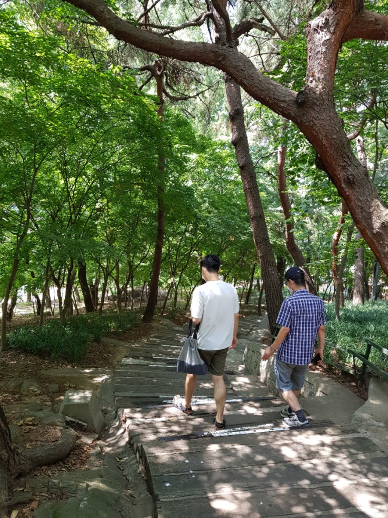 영화사 108계단 이미지