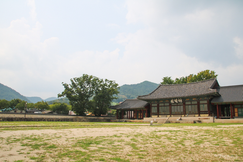 금성관광주 이미지