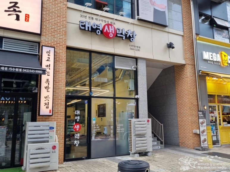 태영생막창 도안가수원점 이미지