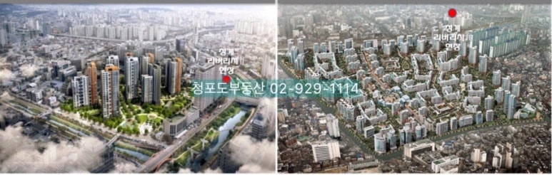 뉴홈청과 이미지